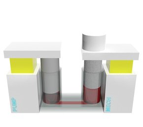 Tailor-Made Bioreactors