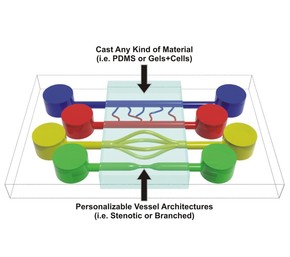 Truly 3D Organs-on-Chips